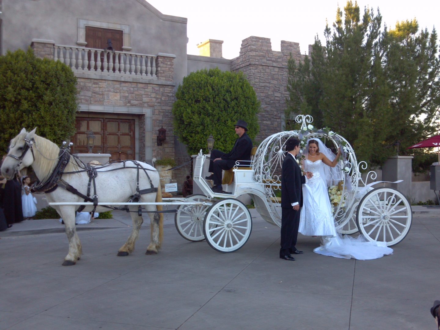 Wedding Carriage Rental Phoenix 